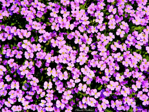 428341 (a): :1600x1200